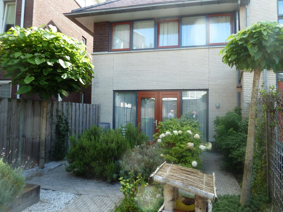 Garden Area