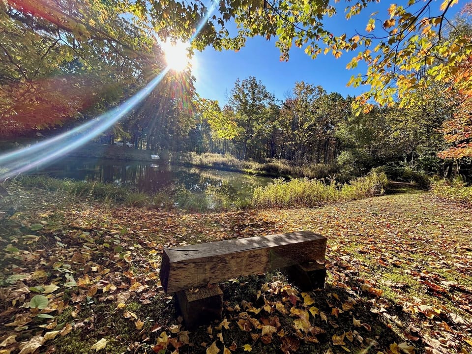 Looking east from bench across the pond toward the cabin on a fall morning.