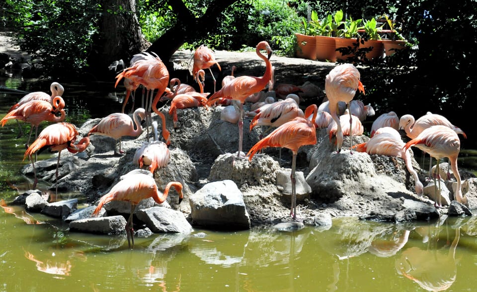 Discover nearby wildlife moments for an unforgettable daytime adventure.