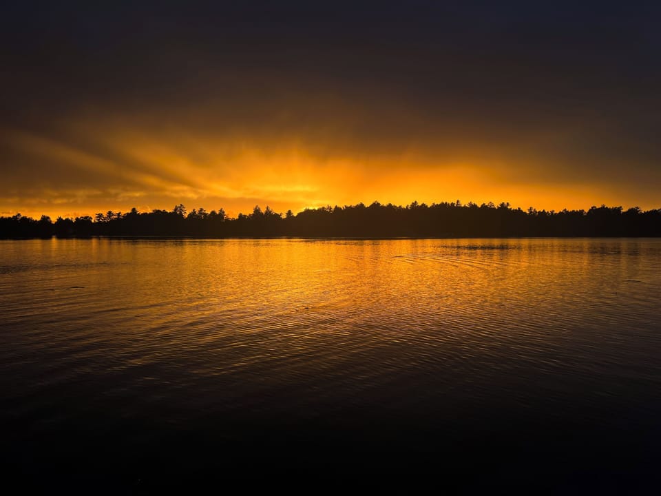 You simply won't want to leave, and will love first option on your dates next yr