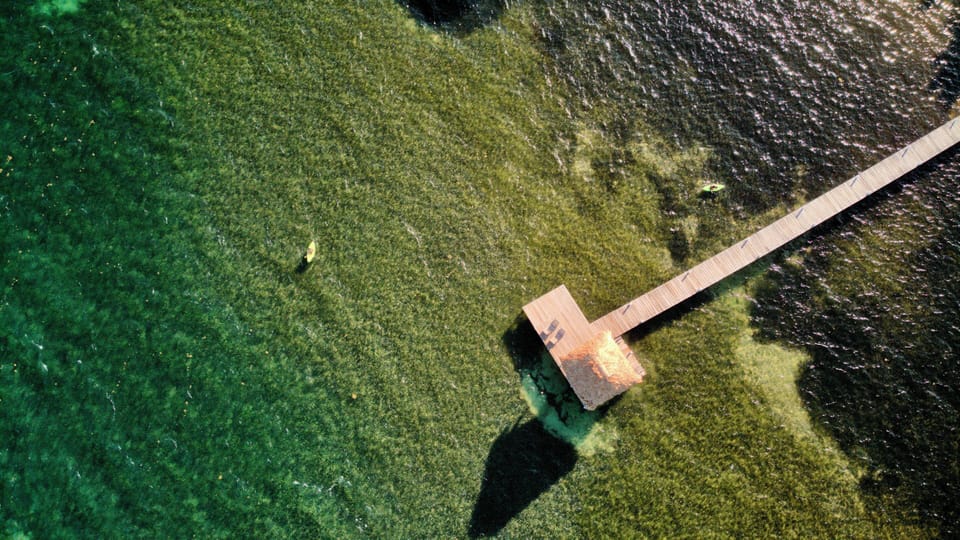 Miramar pier & kayaks!