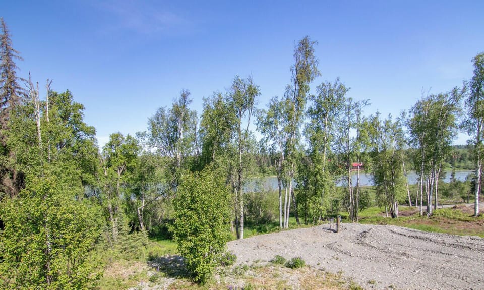 View to the Kenai River from home.