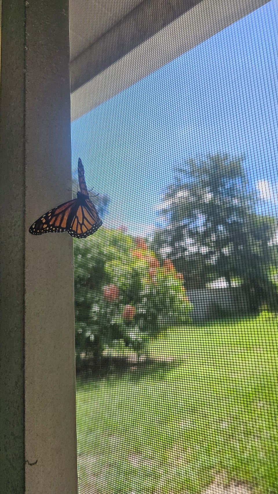 View from property