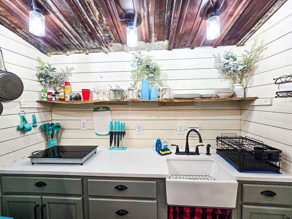 a well equipped kitchen for  tiny home. Induction stove and you will find an airfryer and blender in the bottom cabinet