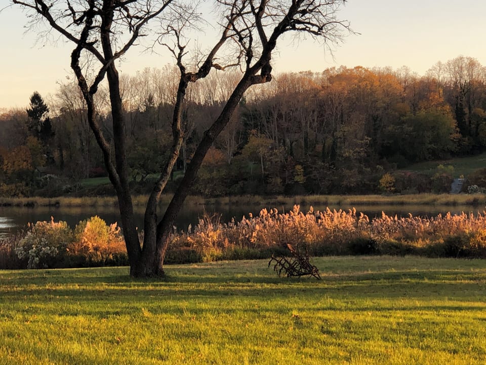 Deck Meadow View #1