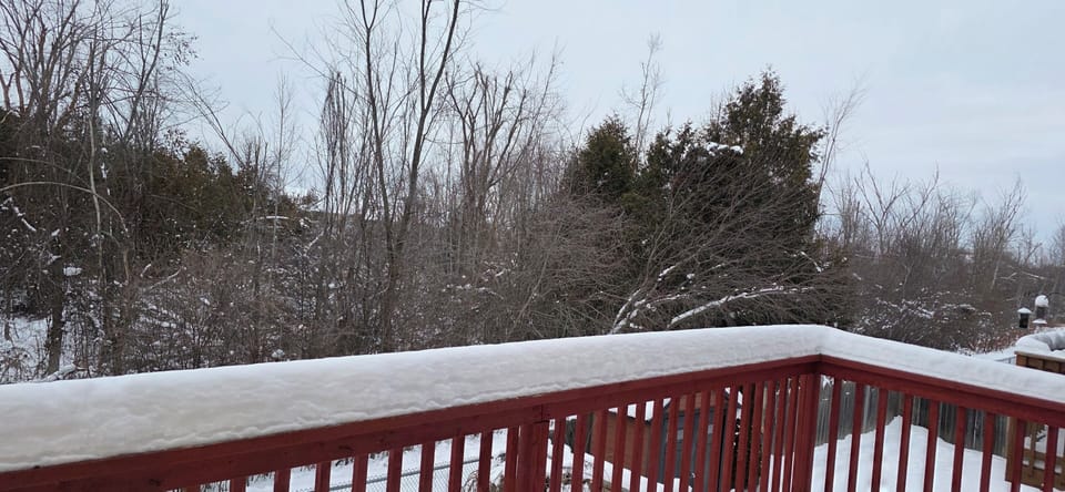 see the view from back yard
