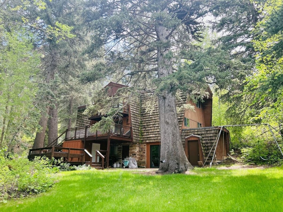 Large grass yard