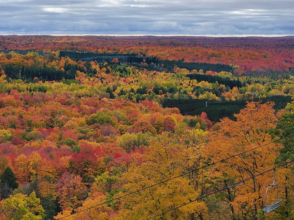 Picture from Fall Colors on ski lift / top of Schuss Mountain