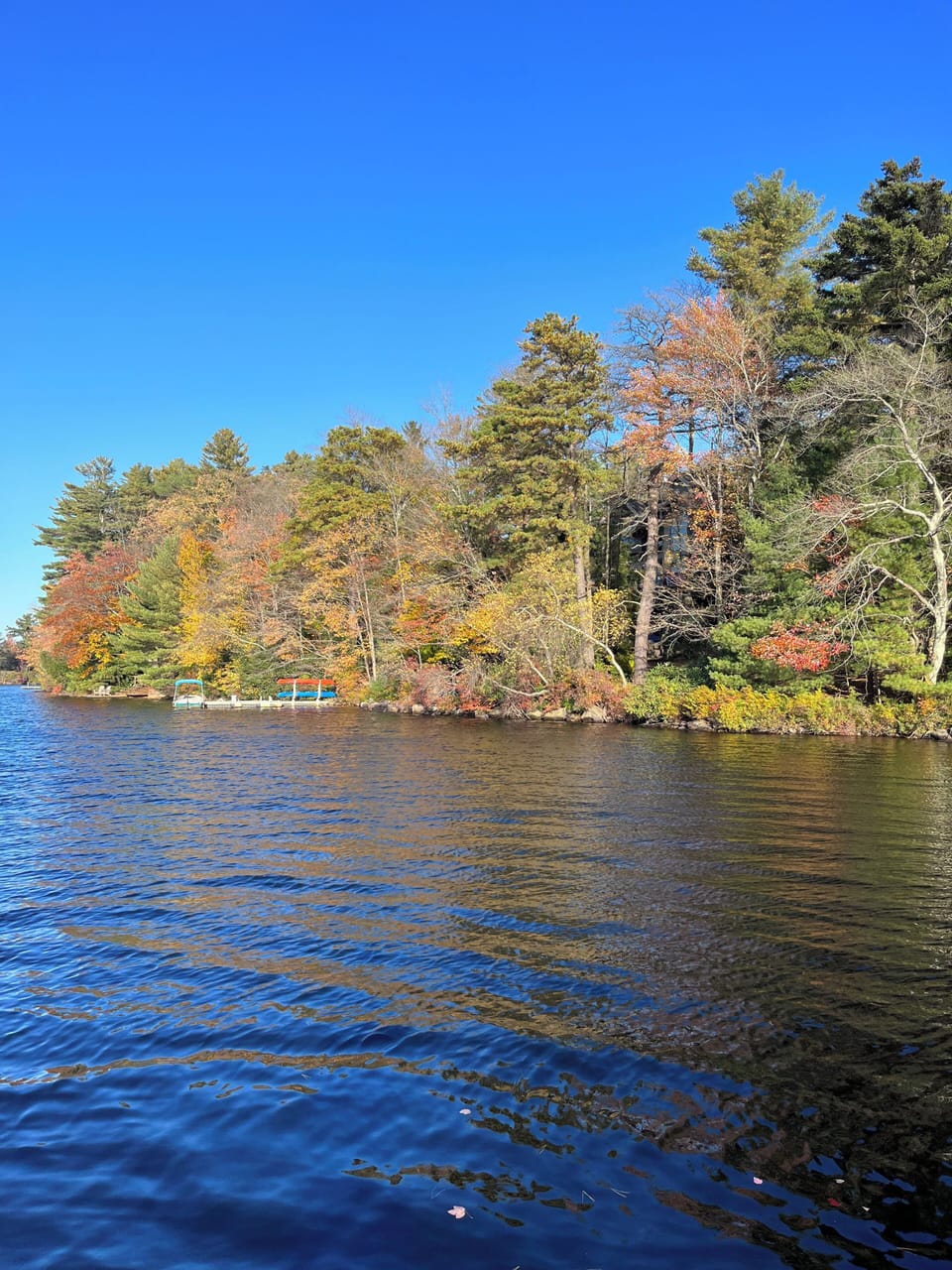 Peak Foliage is waiting for you. 