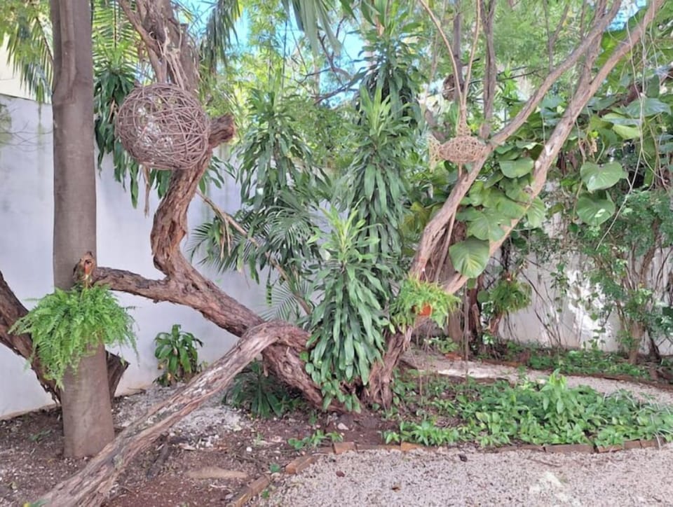 Property grounds