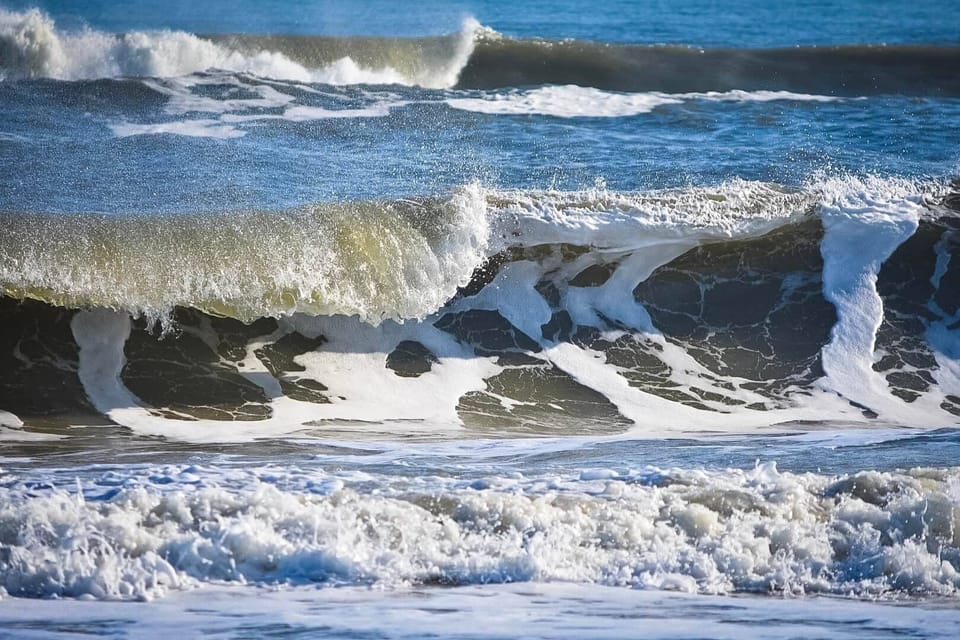 Chincoteague Island national Seashore 