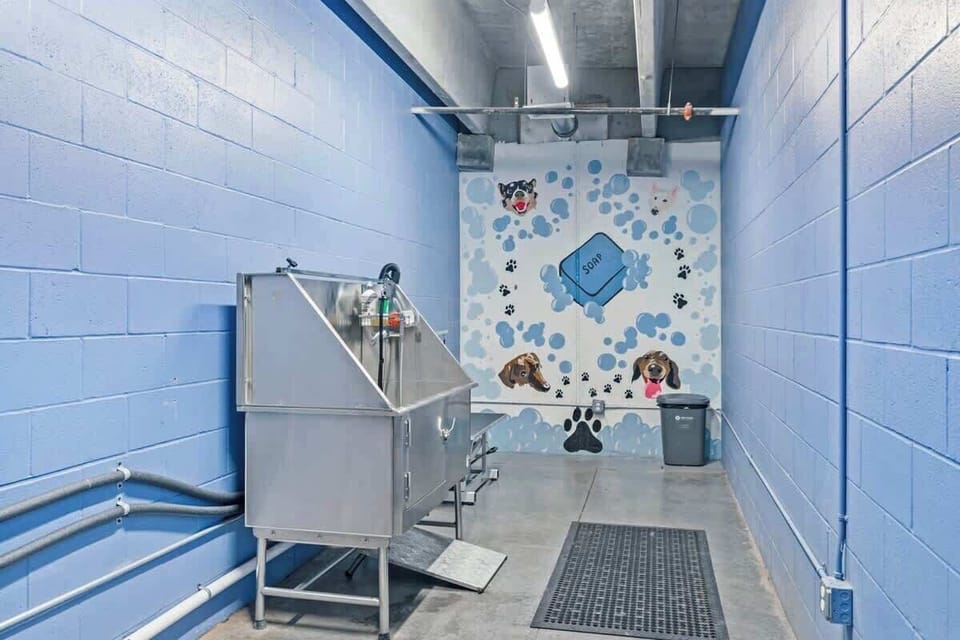 Pet Spa