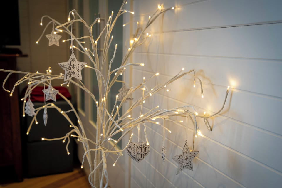 Birches Bay Airbnb Retreats Tasmania April 2024 Web-56