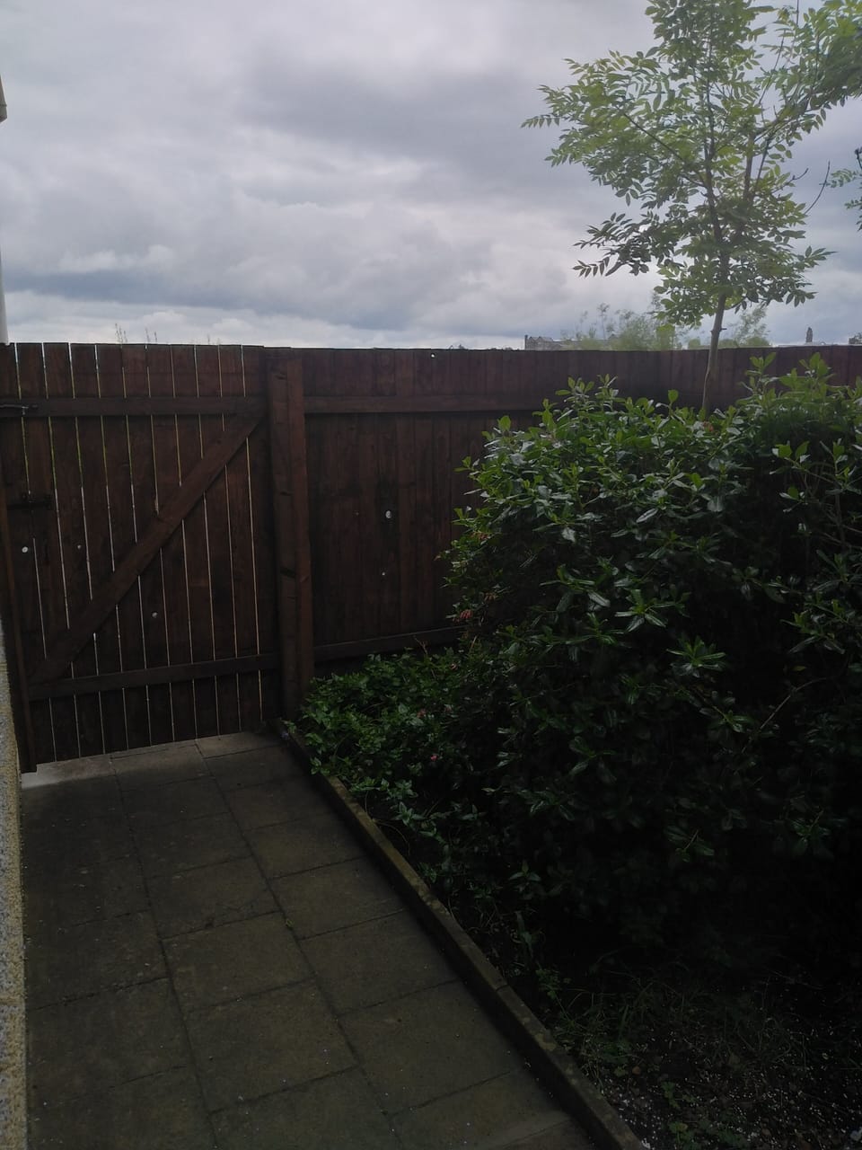 Image 16
