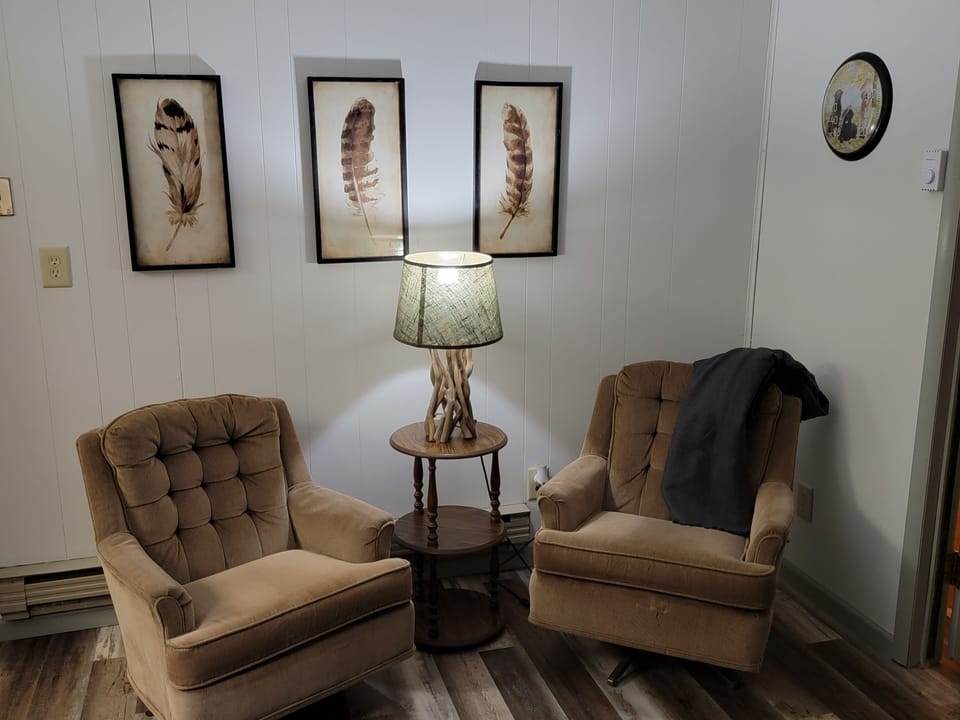 Comfy Swivel Chairs
