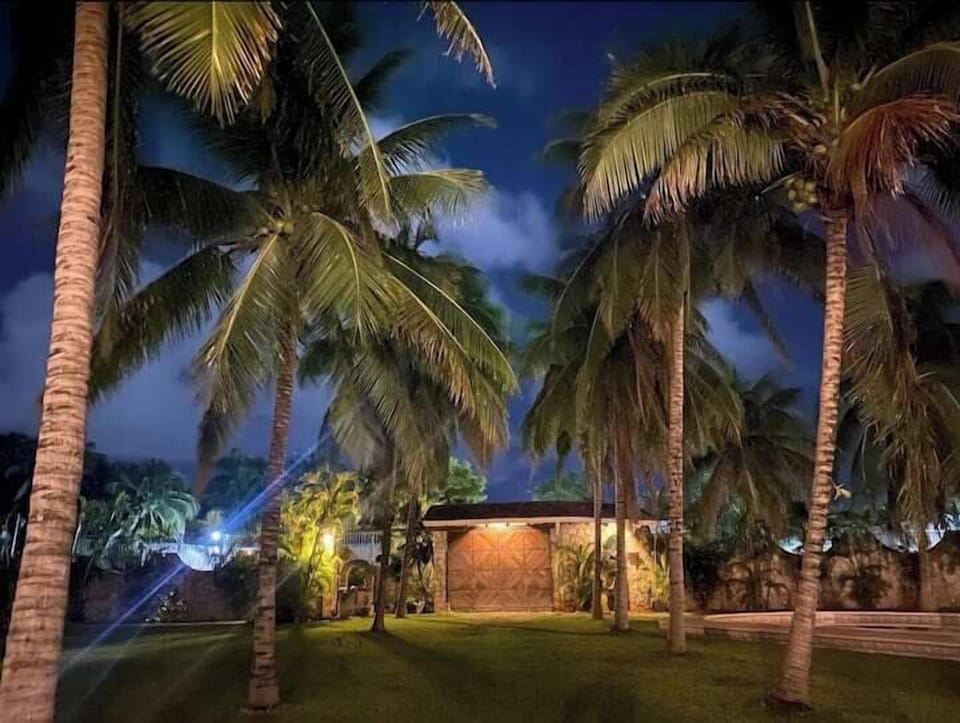 Night view garden