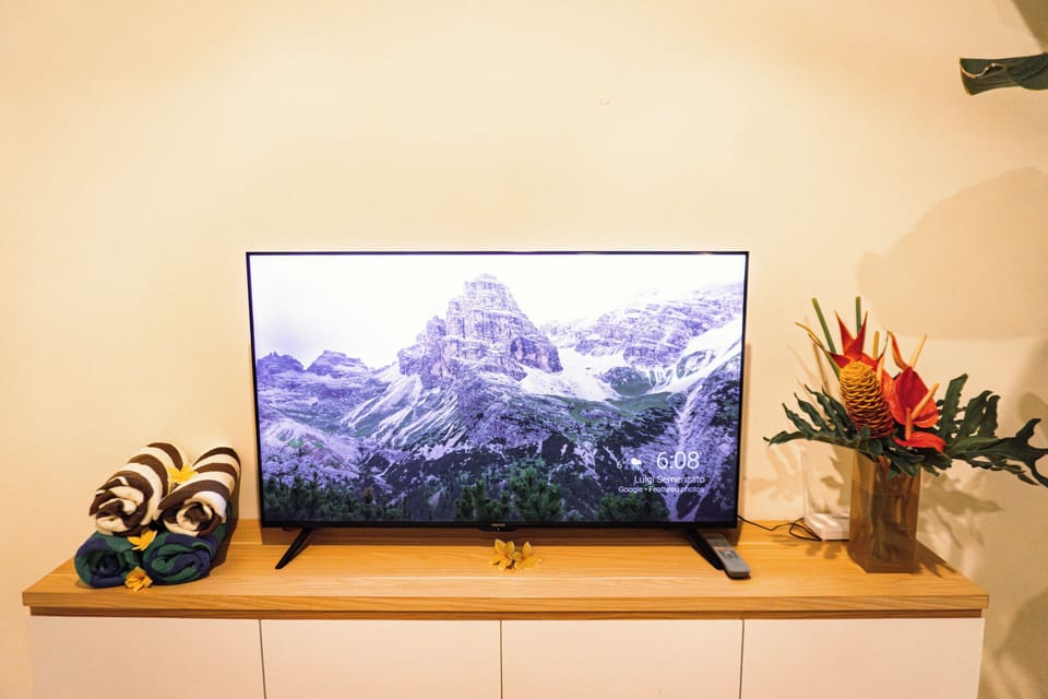 Television