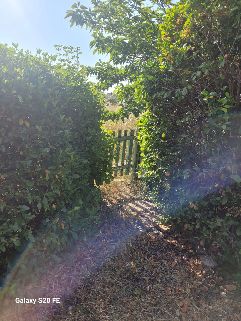 Property grounds