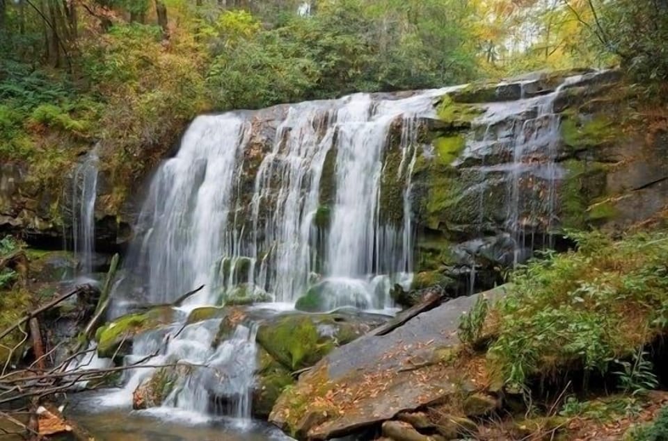 Shoal creek falls