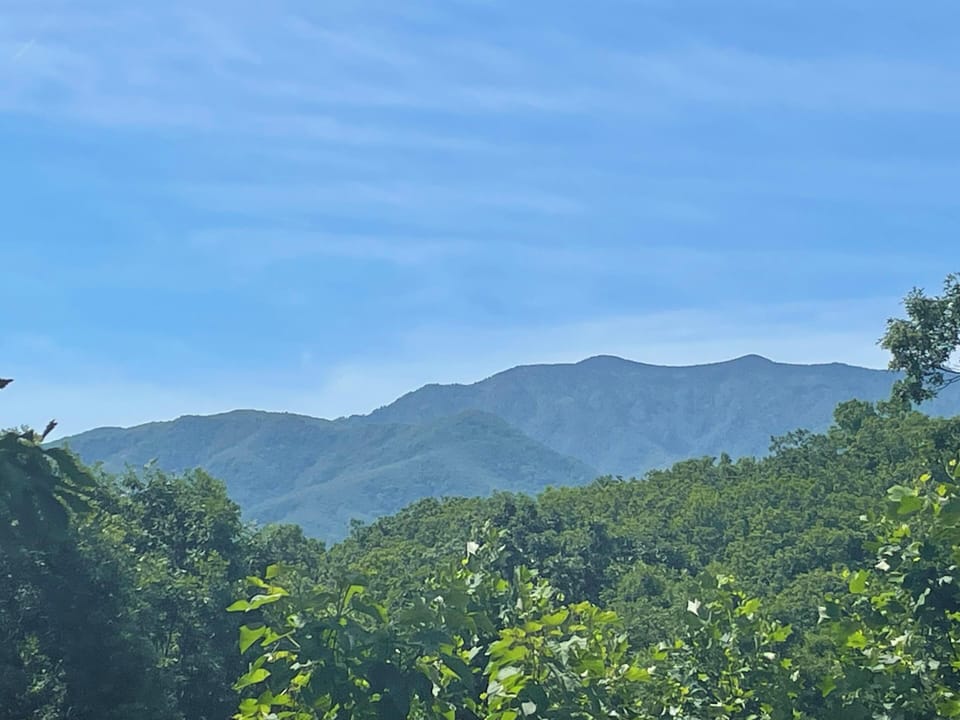 Bears Repeating Mountain Summer View