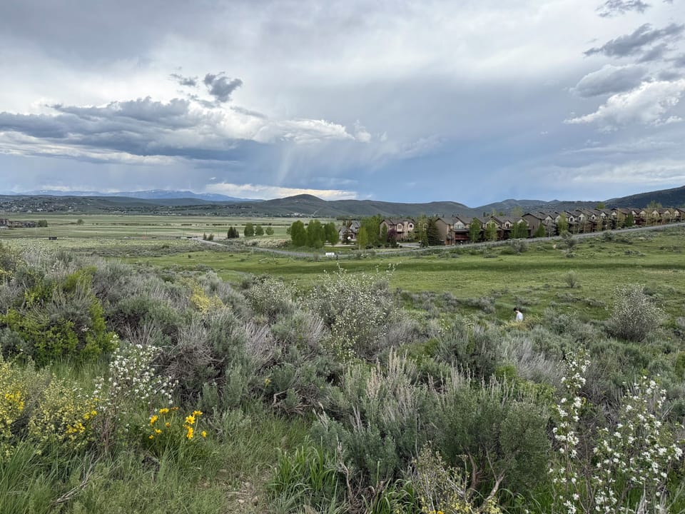 Dog park adjacent to Bear Hollow