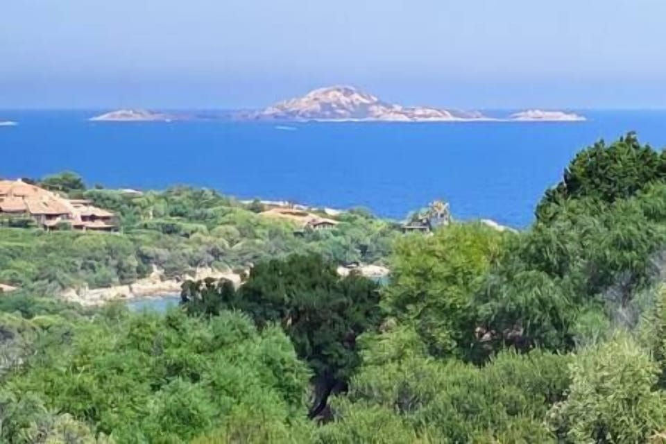 8d1e343b 827e 42dd 88c9 9b7e79809b83