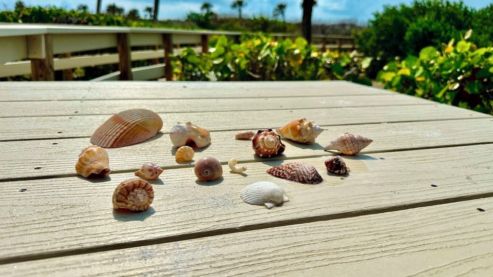 Rinse your treasures at the pool side shell washing station.