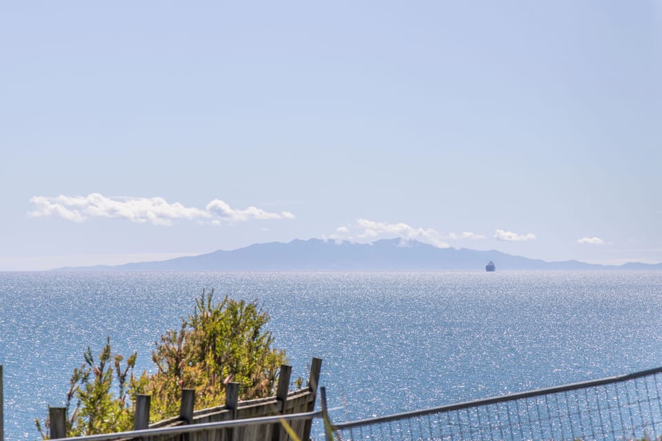 View from the garden