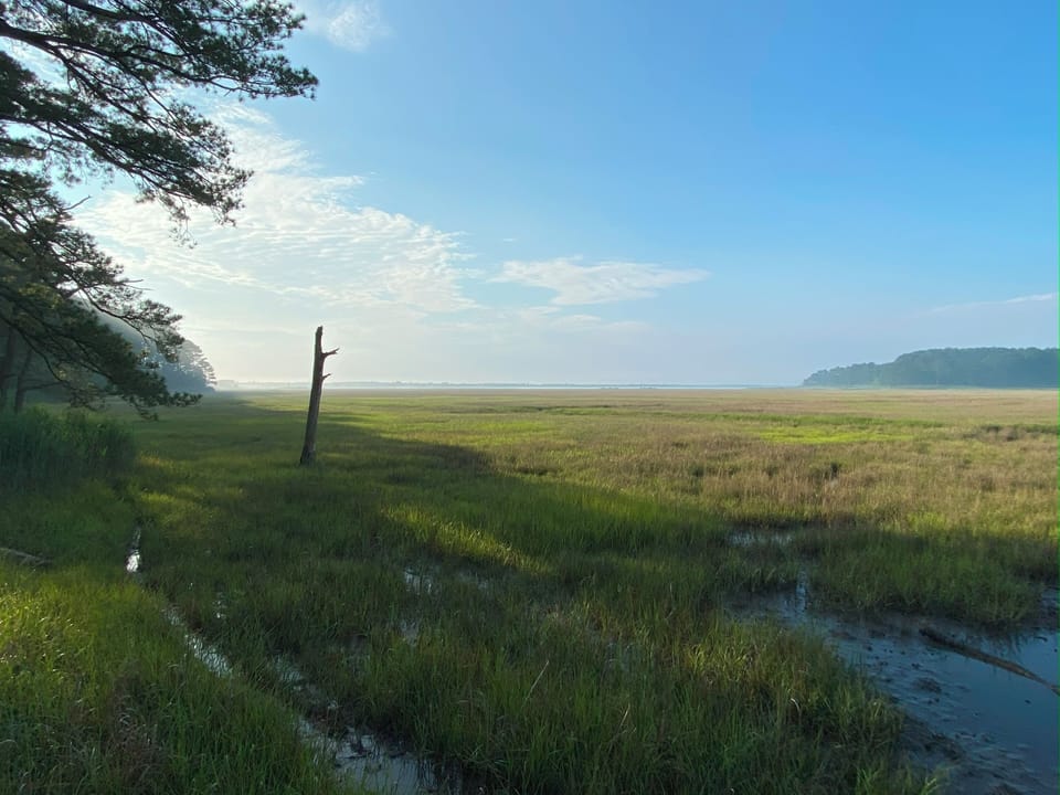 Cape Henlopen State Park (Gordon Pond)-bikable