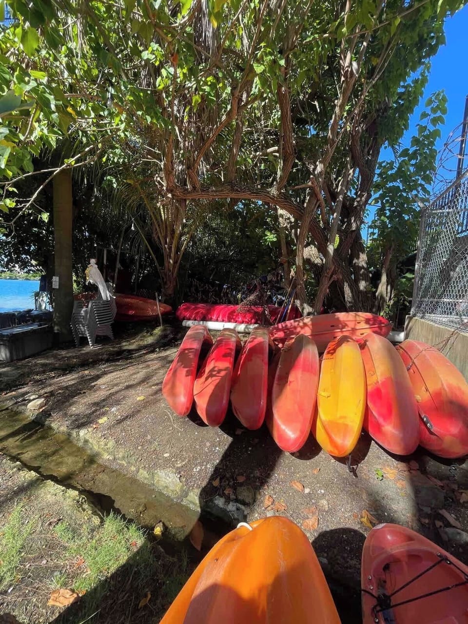 Access to La Laguna de Condado offers a wonderful opportunity for outdoor enthusiasts and nature lovers.