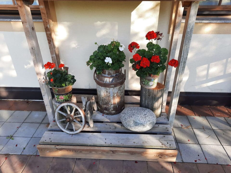 Flower, Plant, Property, Flowerpot, Building, Table, Houseplant, Window, Vase, Wood