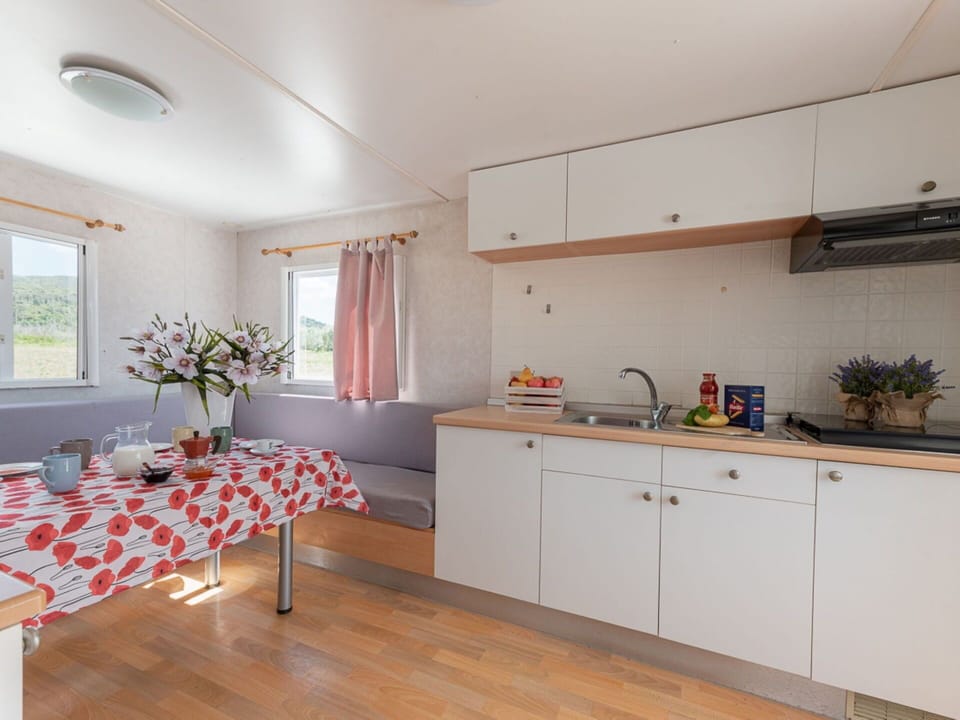 Cabinetry, Furniture, Kitchen Sink, Countertop, Sink, Window, Wood, Chair, Plant, Kitchen