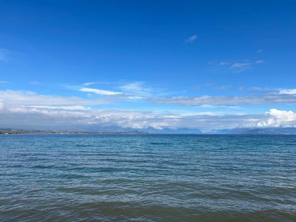 Activities, Autumn, Spring, Summer