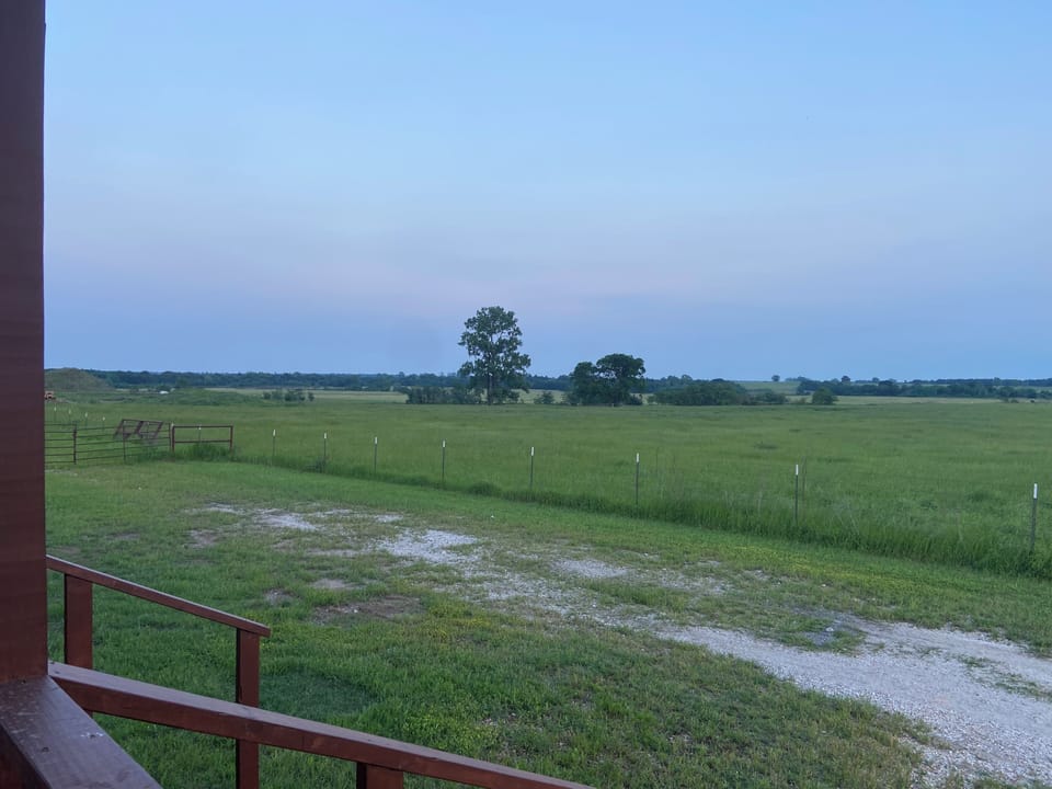 View from property