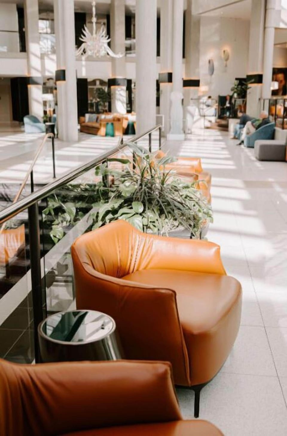 A cozy lounge corner featuring plush leather seating and lush greenery, ideal for relaxation and casual conversations.