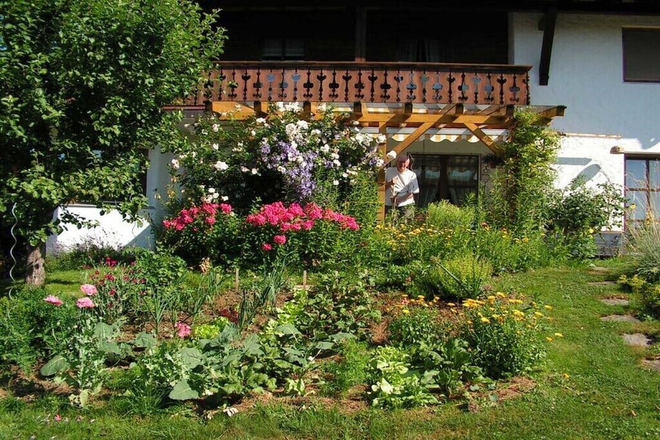 Garden [summer]