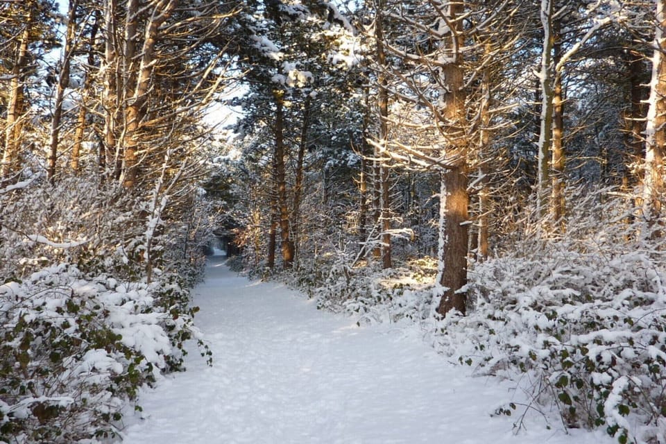 Region [winter] (>5 km)