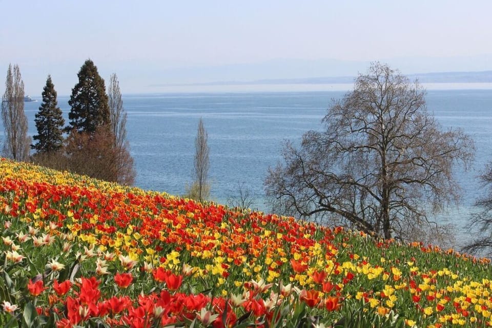 Surroundings [summer] (1-5 km)