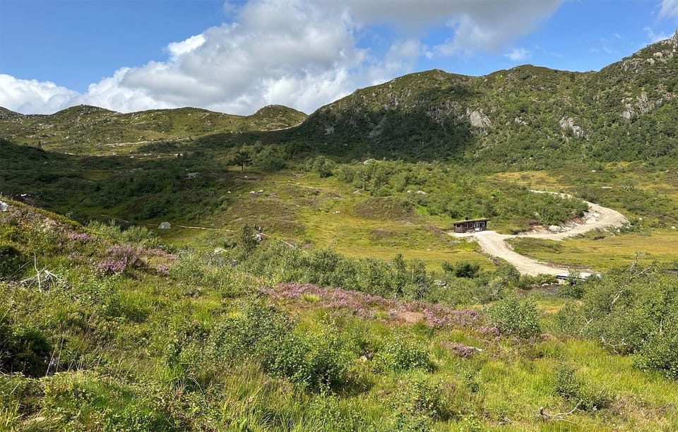area