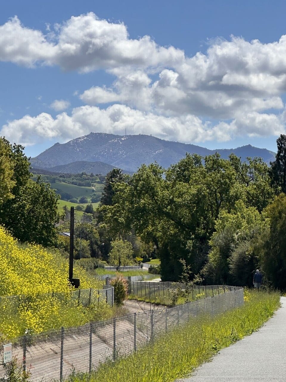 Walking trails behind our unit.
