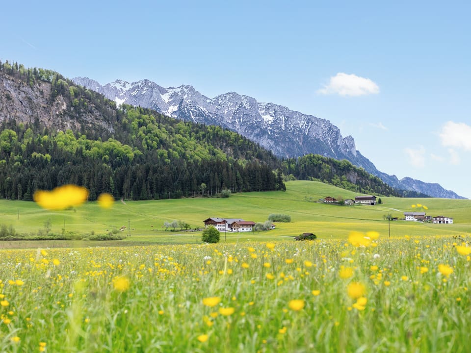 Immediate Surroundings [summer] (<1 km)