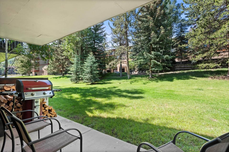 Your patio offers a gas grill and lawn space in the summer.  Ski right up to the back door during the height of the winter season!