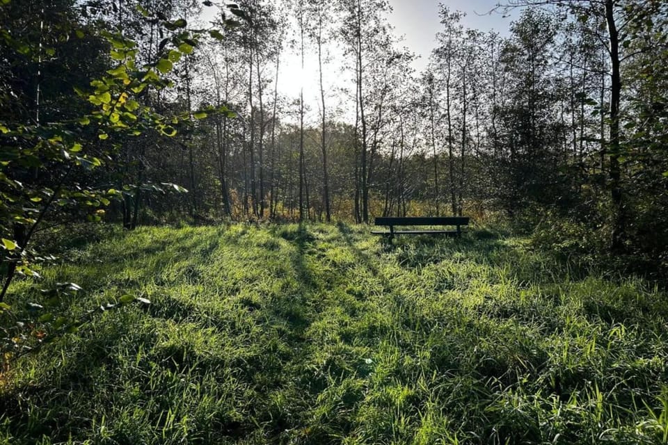 Region [summer] (>5 km)