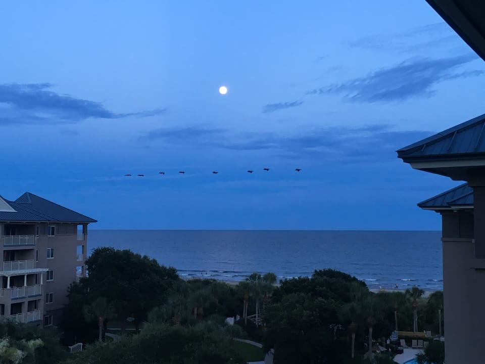Beach/ocean view