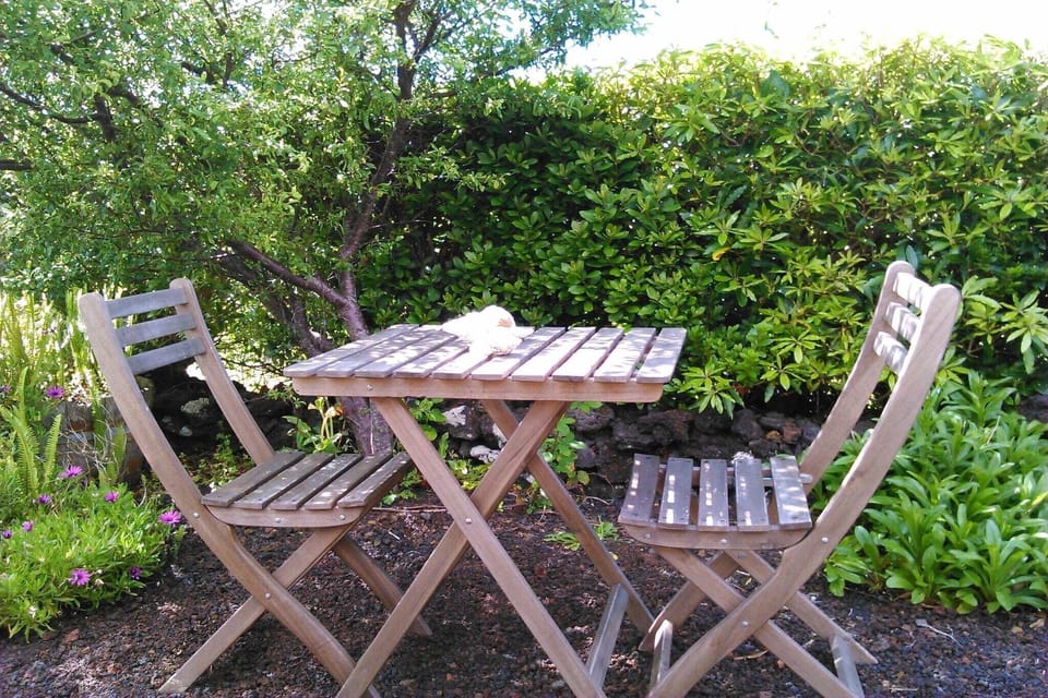 Garden [summer]