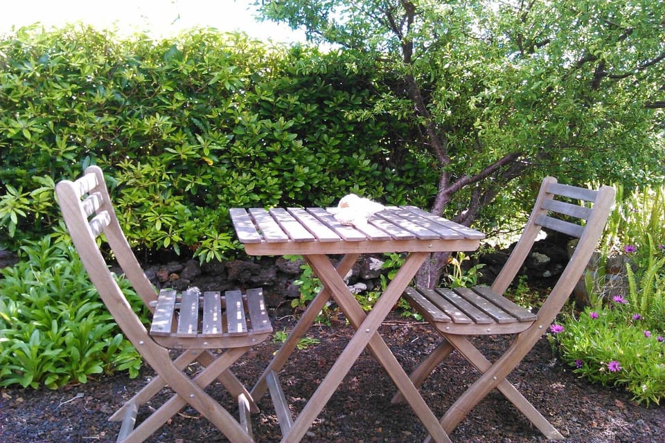 Garden [summer]