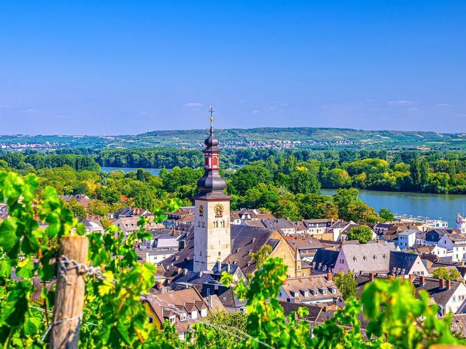 Vacation apartments on a winery - LaBed - Apartment on a winery Apartment in Mainz-Bingen
