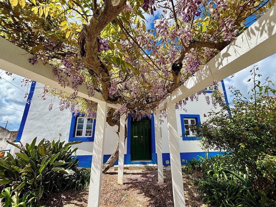 Front of house with wisteria