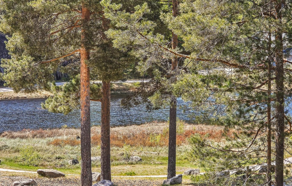 area