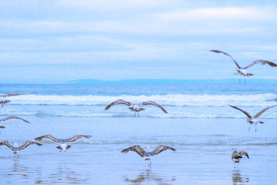 Beach